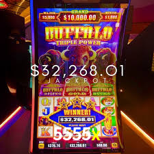 5555x bonus